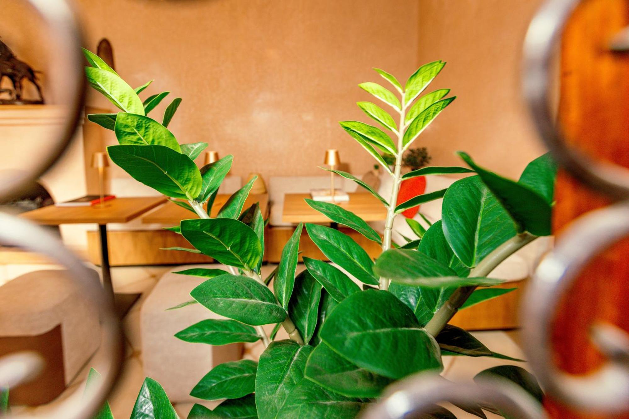 Luciano Hotel&spa Riad Marrakesh